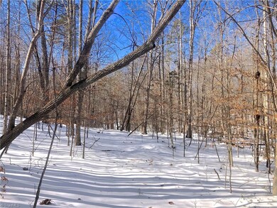 0 Nc Highway 704 E unit 1057414, Sandy Ridge, NC 27046 - photo 5