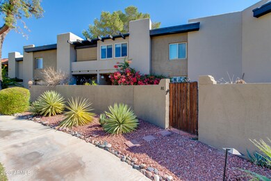 02-Camelback