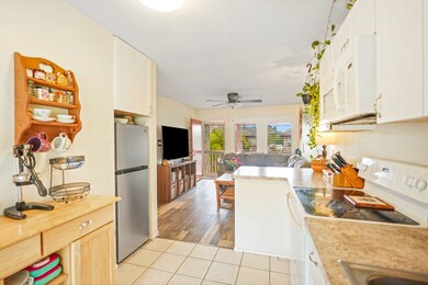 4461 Kamoa Rd unit F21, Kapaa, HI 96746 - photo 5