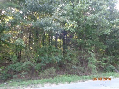 Greene 643 Rd, Paragould, AR 72450 - photo 3