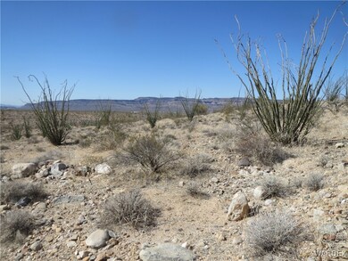 Property with numerous ocottillo