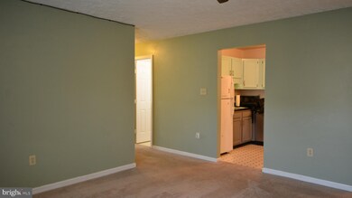 105 D9 Hailey Ln, Strasburg, VA 22657 - photo 3