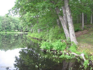 4-AR Lakefront Dr, Paupack Township, PA 18428 - photo 3