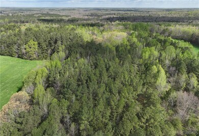 2.79 AC Courthouse Rd, Lunenburg, VA 23952 - photo 3