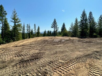 33 Challis Ln unit Lot 5, Cascade, ID 83611 - photo 2