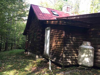 156 Debbie Higgins Ln, Wardsboro, VT 05355 - photo 3