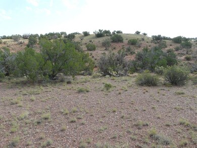 Lot 577 Ccr Unit 4 -- unit 577, Heber, AZ 85928 - photo 5