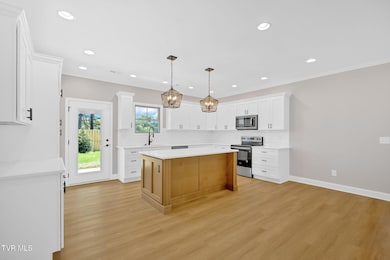 610 Cherry Marie Dr, Jonesborough, TN 37659 - photo 4