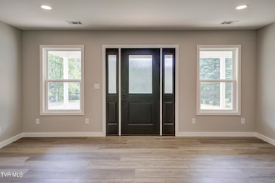 1105 Laurel Way, Mountain City, TN 37683 - photo 7