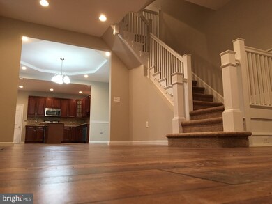 5358 Wingohocking Terrace, Philadelphia, PA 19144 - photo 5