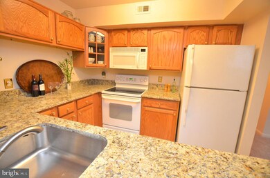 13651 Orchard Dr unit 3651, Clifton, VA 20124 - photo 7