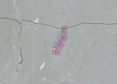 L5 B1 John Lake, Nelchina, AK 99780 - photo 4