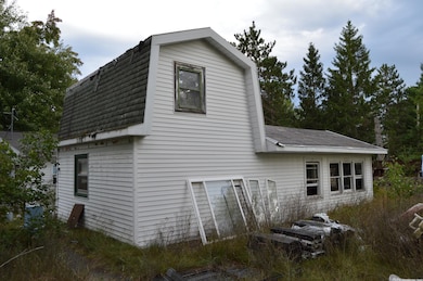 3386 Chase Bridge Rd, Grayling, MI 49738 - photo 6