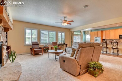 5718 Paladin Place, Colorado Springs, CO 80924 - photo 4