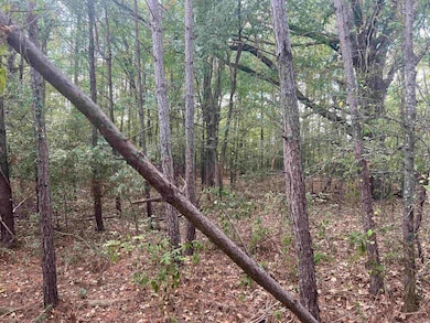 00 Middle Warren Rd, Pine Bluff, AR 71603 - photo 5