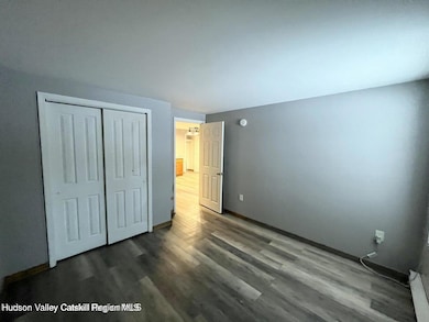 143 Vedder Rd unit 4, Catskill, NY 12414 - photo 5
