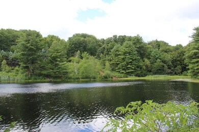 17 Old Stagecoach Dr, Monson, MA 01057 - photo 6