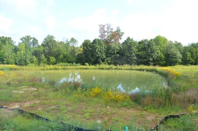 302 Gentry Crossings Blvd, Mount Washington, KY 40047 - photo 5