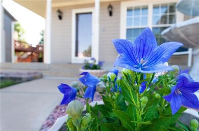 4403 SW Creekview Dr, Lees Summit, MO 64082 - photo 5