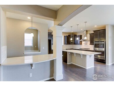 6014 Moran Rd, Timnath, CO 80547 - photo 7