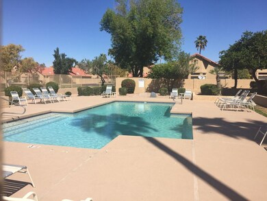 Community Pool Next Door