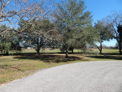 7806 Kathryn Rd, Needville, TX 77461 - photo 5