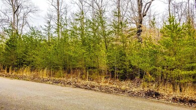 00 Pl Colyer Rd, Somerset, KY 42503 - photo 4