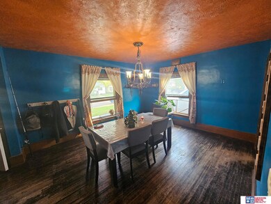 1113 Elk St, Beatrice, NE 68310 - photo 3