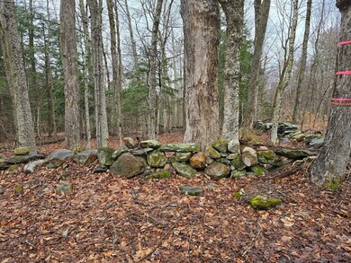 0 Yale Rd unit 73227296, Cummington, MA 01026 - photo 4