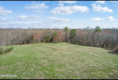 297 Hitchin Post Dr, Jamestown, TN 38556 - photo 5