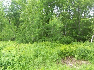 0 (Lot 8) Deer Stand Trail, Webster, WI 54893 - photo 4