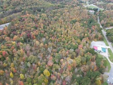 00 Walston Rd, Walston, PA 15781 - photo 4