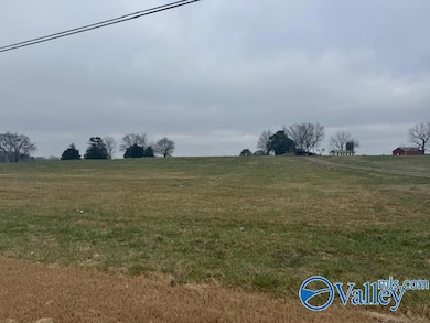 TRACT 8 Alabama 99, Elkmont, AL 35620 - photo 6