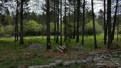 17154 Wood Duck Ct, Bend, OR 97707 - photo 2