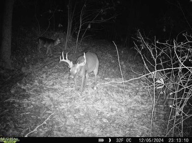 0 Greenlawn Rd unit 3, Quaker City, OH 43773 - photo 5