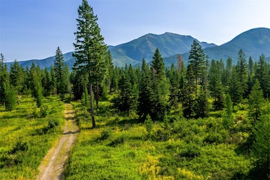 Interior trail through forest