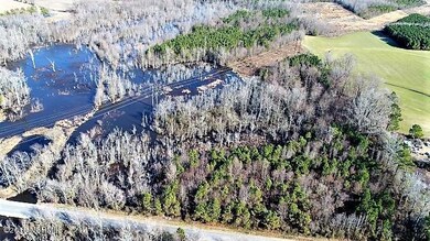 44 Ac Off Cattail, Elm City, NC 27822 - photo 4