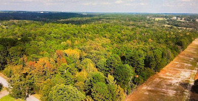 17278 N Highway 69, Tyler, TX 75703 - photo 3