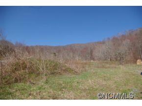 1566 Roaring Fork Rd, Burnsville, NC 28714 - photo 5