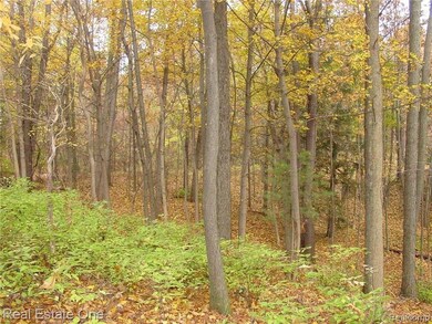 Deep lot offers privacy and beauty.