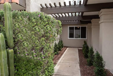 Side Patio Area