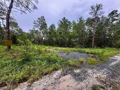 0 NE 112th Ct, Ocala, FL 32134 - photo 4