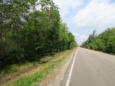 000 County Road 858, Brazoria, TX 77422 - photo 2