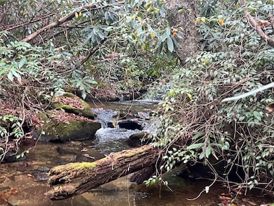 Bold stream on adjoining greenbelt area