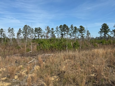 3160 Rd, Preston, MS 39354 - photo 7