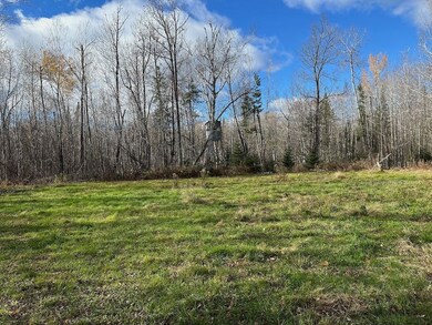 Tbd State Highway 65, Jacobson, MN 55752 - photo 4