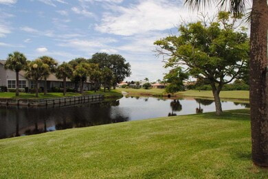 Beautiful View of the Water