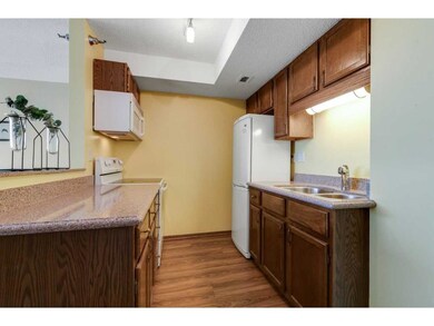 Web-Friendly-66-9th-Street-East-Saint-Paul-MN-12