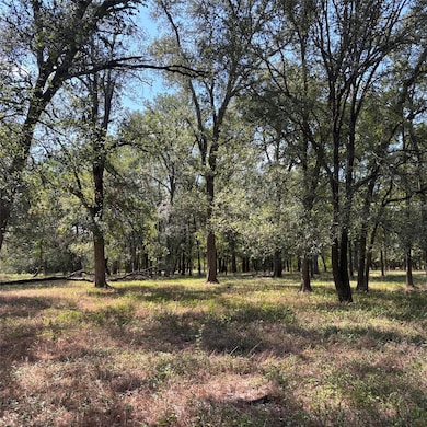 2477 W Highway 159, La Grange, TX 78945 - photo 7