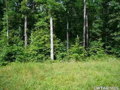 00 Brodies Landing Rd, Parsons, TN 38363 - photo 4